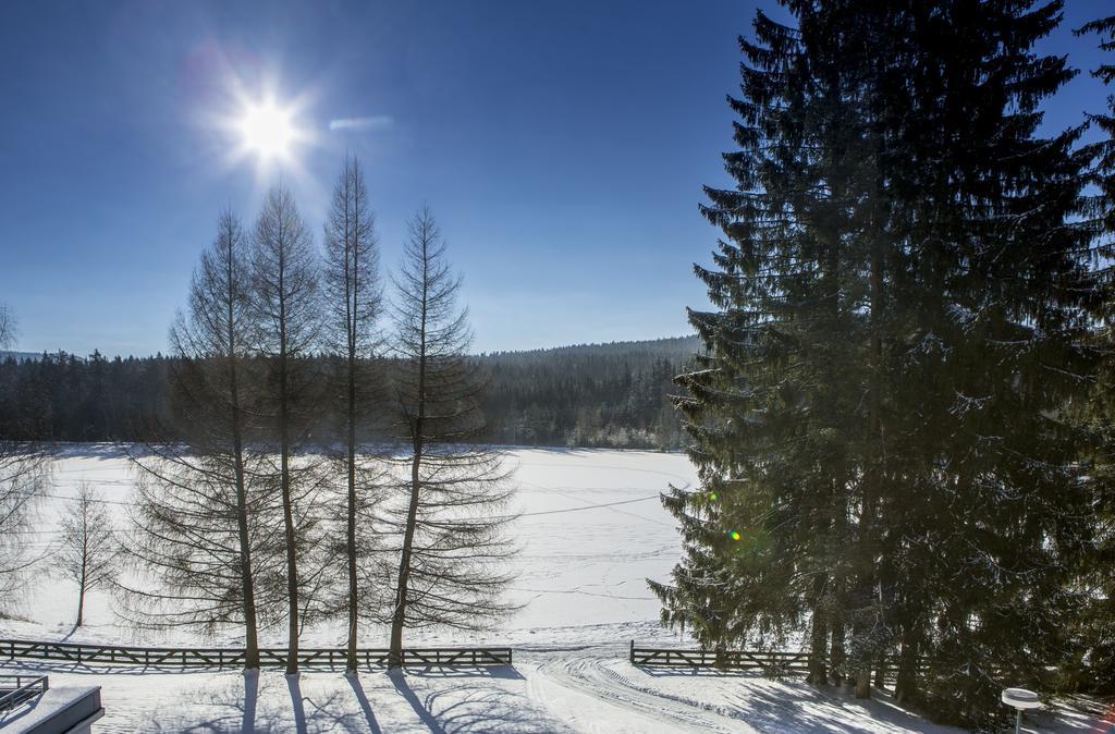 Orea Resort Devet Skal Vysocina Снежне Экстерьер фото