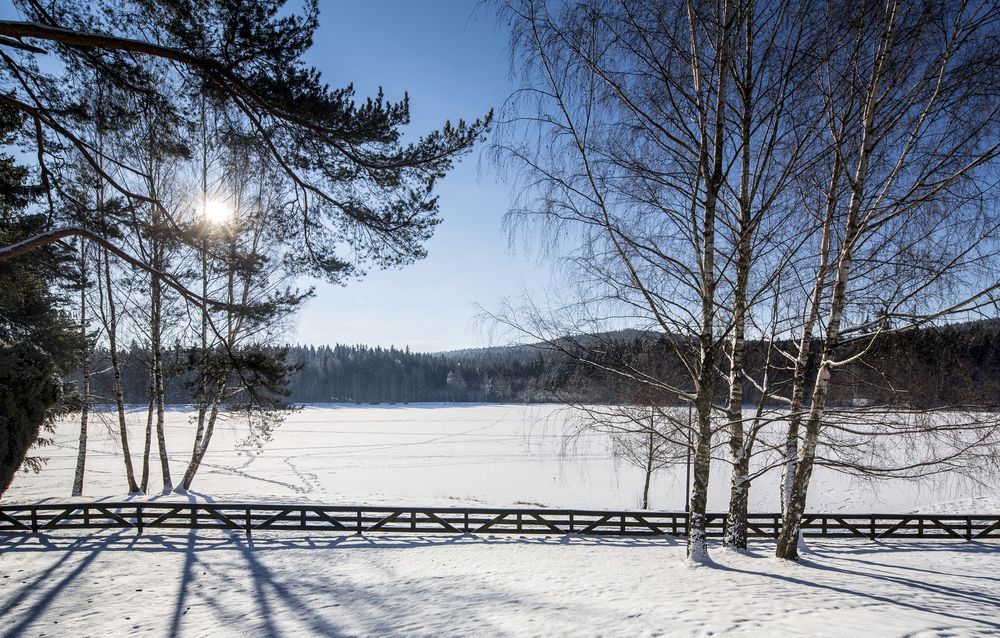 Orea Resort Devet Skal Vysocina Снежне Экстерьер фото